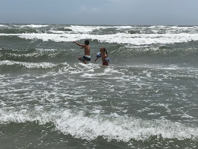 Ti nejlepší společníci na léto u vody