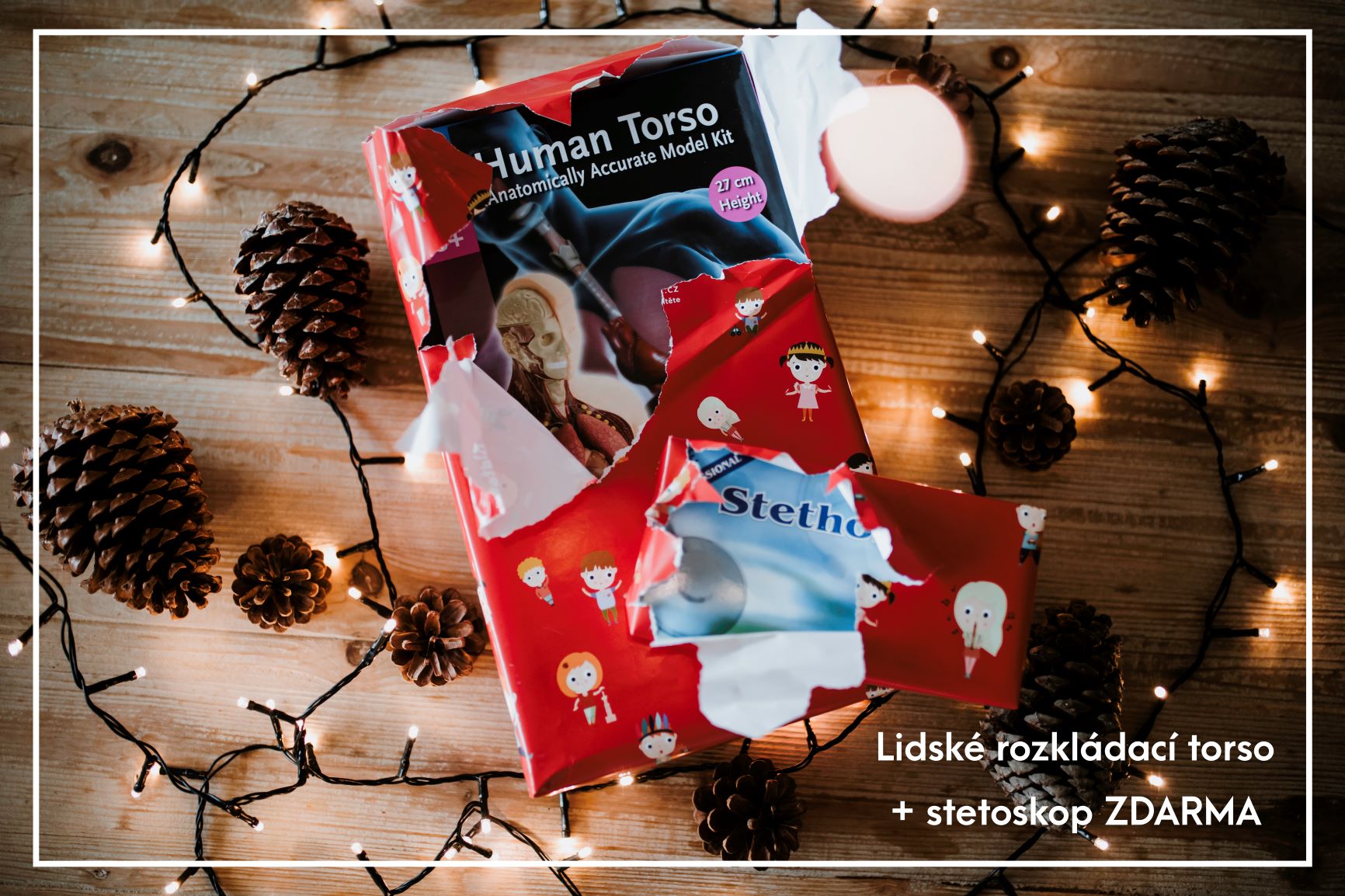 lidske-telo-stetoskop-zdarma