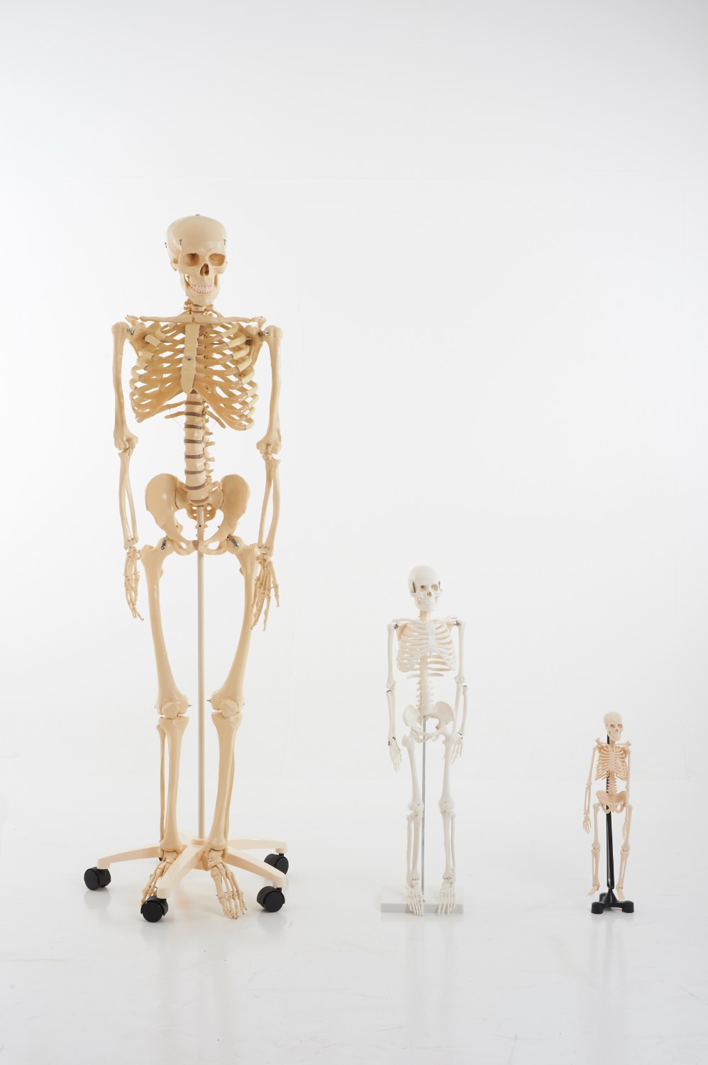TickiT Kostra 85cm (model v měřítku 1/2) (obrázek 8)