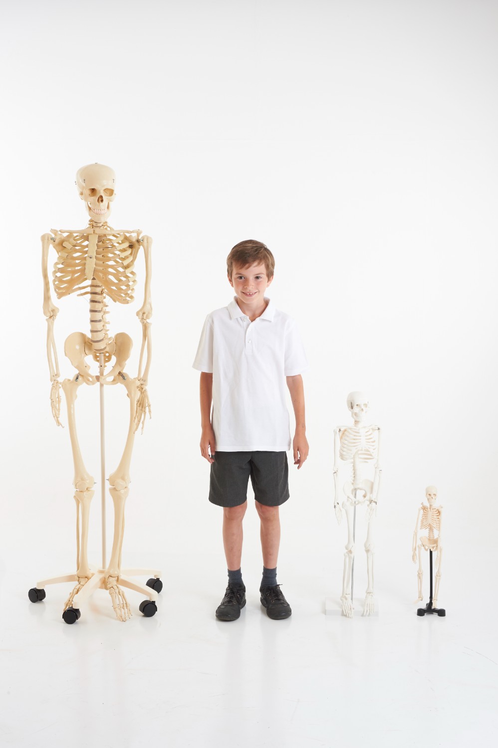TickiT Kostra 85cm (model v měřítku 1/2) (obrázek 3)