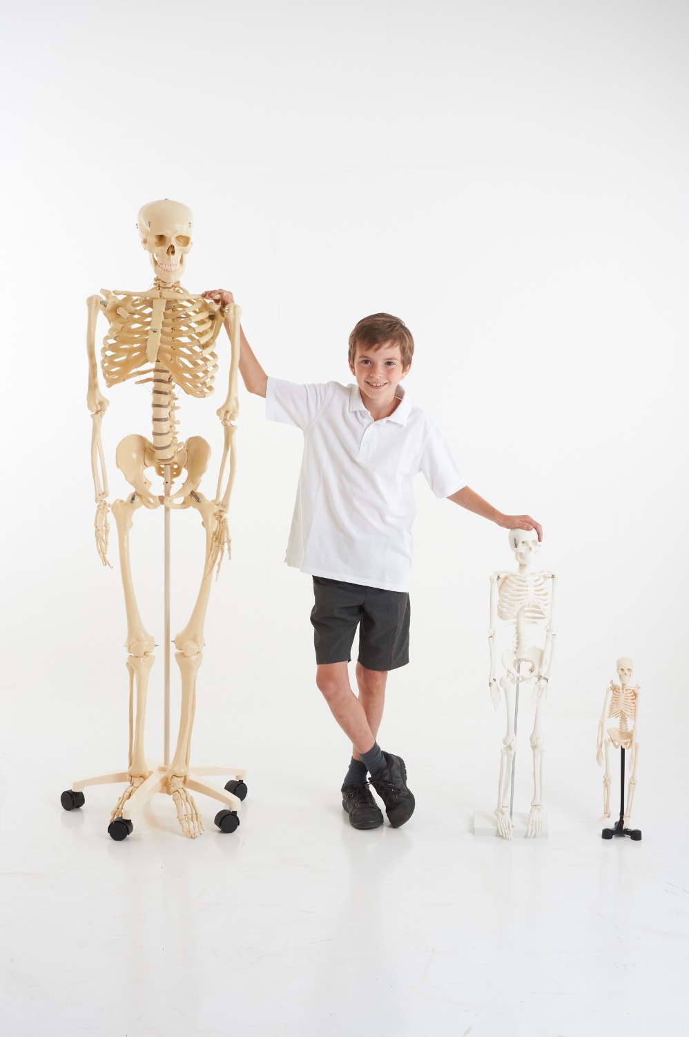 TickiT Kostra 85cm (model v měřítku 1/2) (obrázek 4)