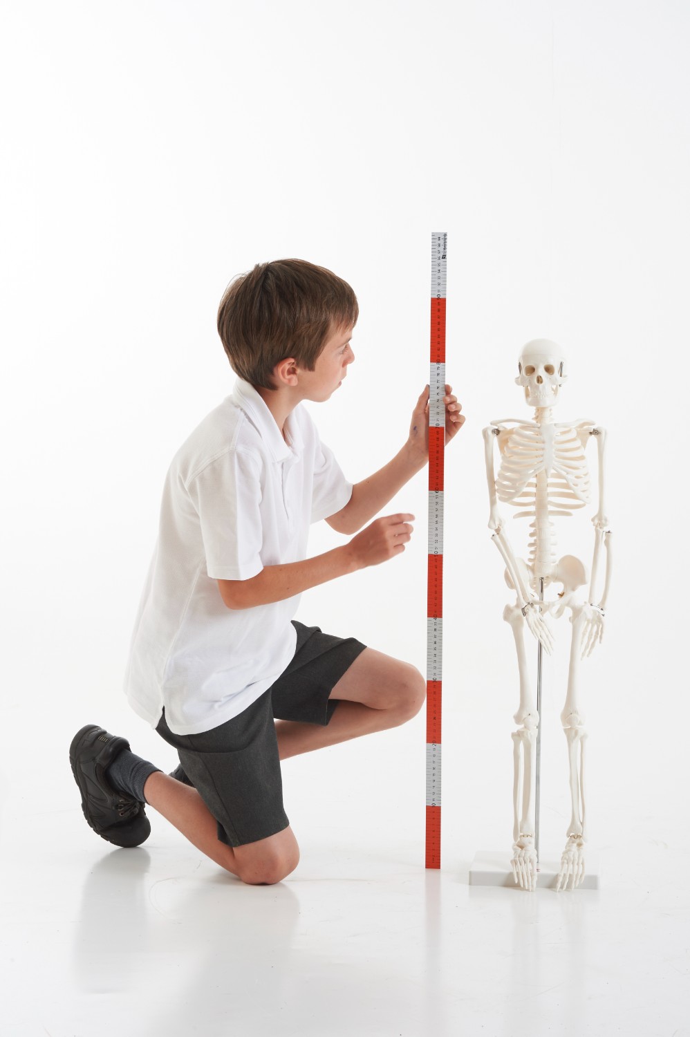 TickiT Kostra 85cm (model v měřítku 1/2) (obrázek 5)