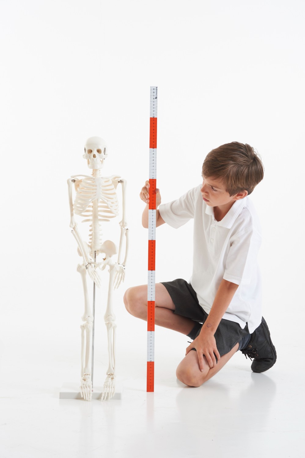 TickiT Kostra 85cm (model v měřítku 1/2) (obrázek 6)