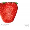 Puzzle Jahoda - 1000 ks / I Like Strawberry - 1000 pcs