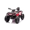 10738 30 detska ctyrkolka can am outlander 800w ruzova