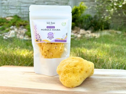 SILK sea sponge 8-10cm