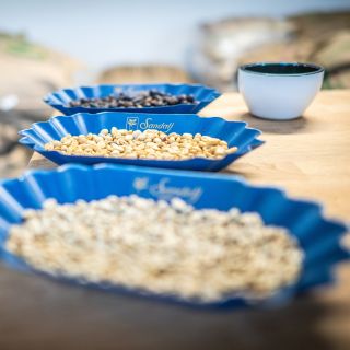 Rio & Sierra. Dvě země. Jeden šálek. 🌍☕️ Brazílie – stabilita, oříšky, jemnost Mexiko – plnost, hořká čokoláda, charakter...