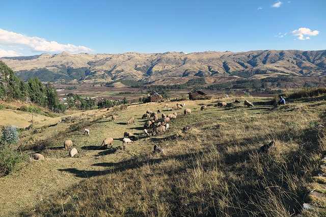 sacred-valley-563123_640