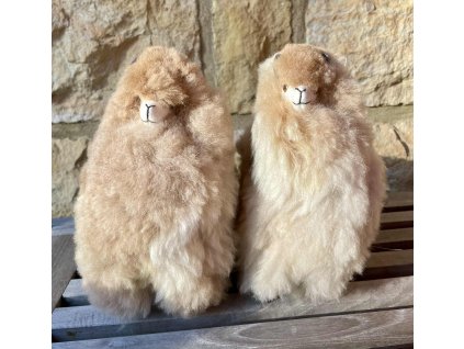 085d054b 8e85 4540 ad22 7b384aafffd1