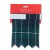 Flashes tartan