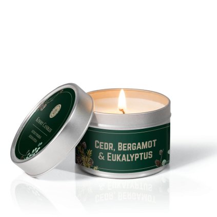 svicka plech cedr bergamot