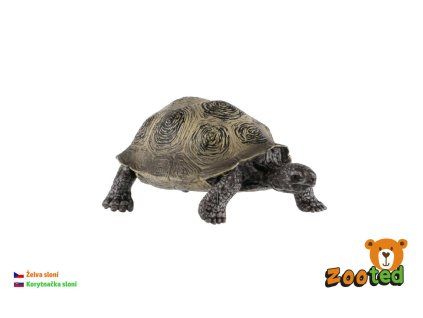 Korytnačka sloní zooted plast 8cm