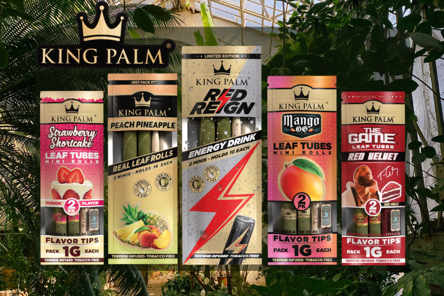 King Palm