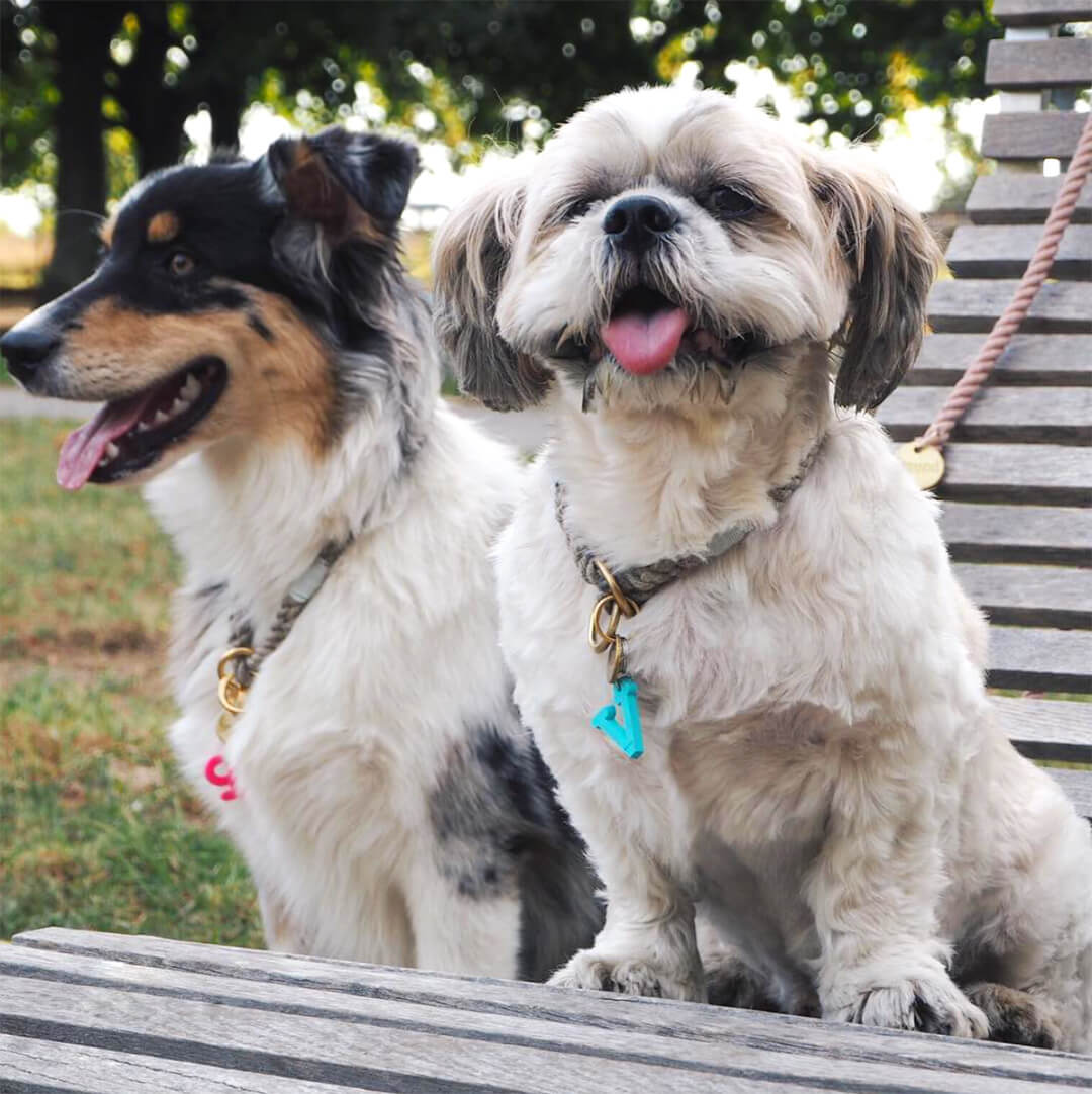 i-love-kuku-pismenka-kuku-pismenka-sona-skoncova-pes-v-nudzi-pismenka-pre-psikov-darcek-nacklace-for-dog-farebne-pismenka--abeceda---kópia