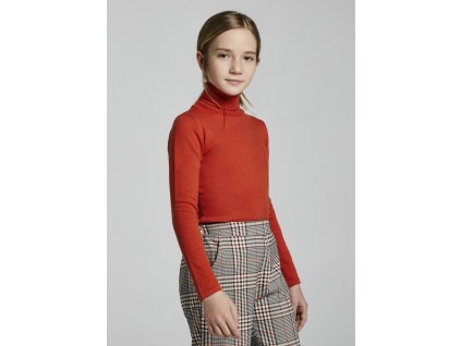 ecofriends woven jumper with turtle neck for teen girl id 11 00345 066 L 2
