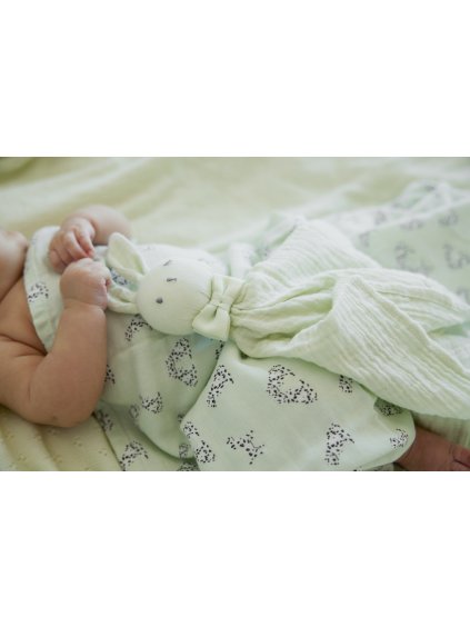 7333222020765 30350202415NA Bamboo Muslin Blanket Darling Dalmatians LP (3)
