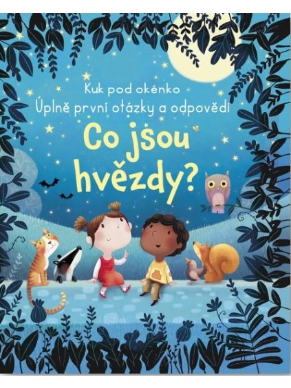 Knížka Kuk pod okénko - Co jsou hvězdy?