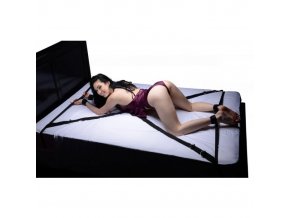 ae721 interlace over and under the bed restraint set model 750x473