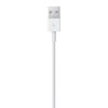 USB–Lightning Kábel Apple MXLY2ZM/A Fehér 1 m (1)