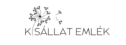 Az én webáruházam