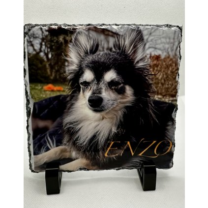 4773E22F 73A0 4635 A707 9CA6DC529CF1 1 102 a