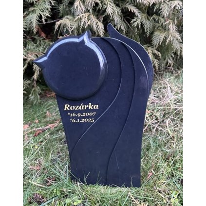 7D0D273C 548A 4679 B845 483200AF0F06 1 105 c