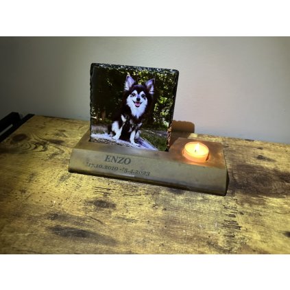 03CF2559 2C40 469A 96CC 1CECB27F93DD 1 105 c