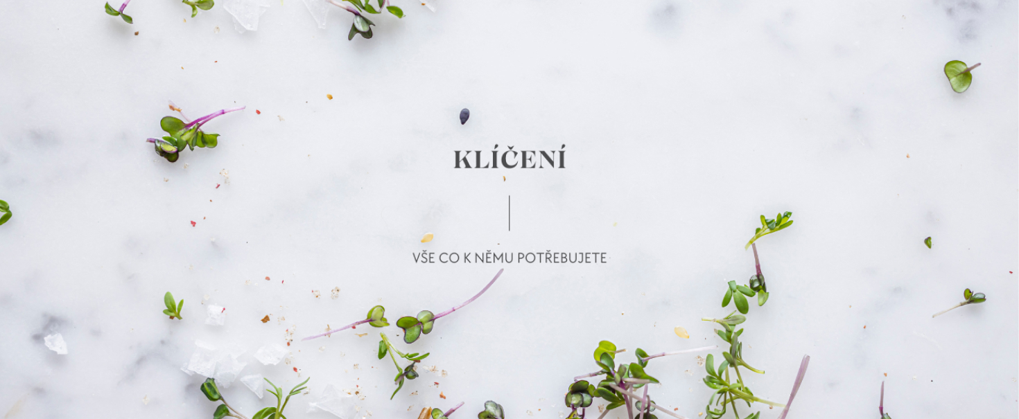 KLÍČENÍ