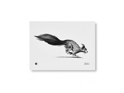 Print aquarelle "Squirrel"