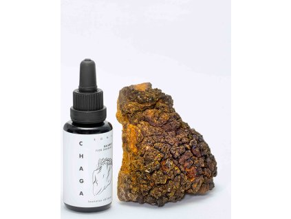 Tinktura Chaga Soma Bio 30 ml