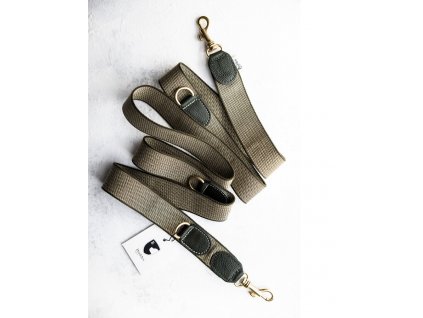 Vodítko pro psa Buddys James zelené nastavitelné