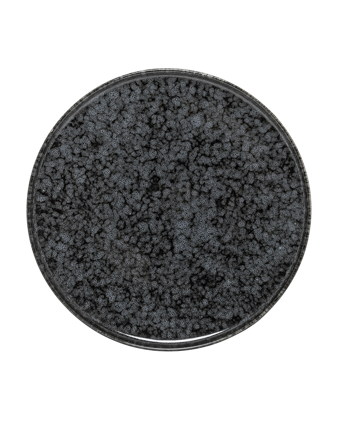 Black Stoneware Noir Plate