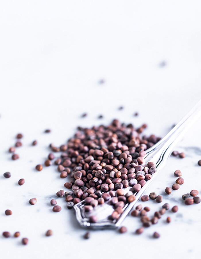 Chinese pink radish seeds bio 200g