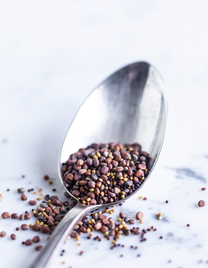 Seed mixture bio 200g
