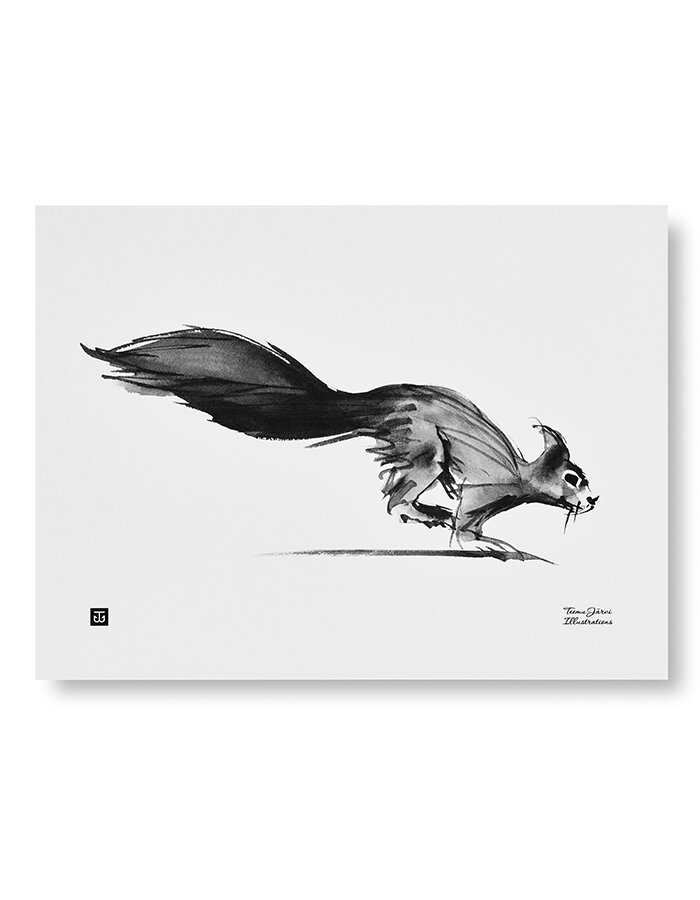 Wall art print Squirrel