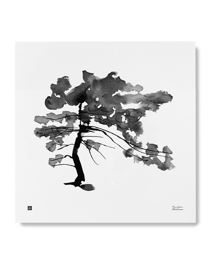 Print aquarelle "Pine Tree"
