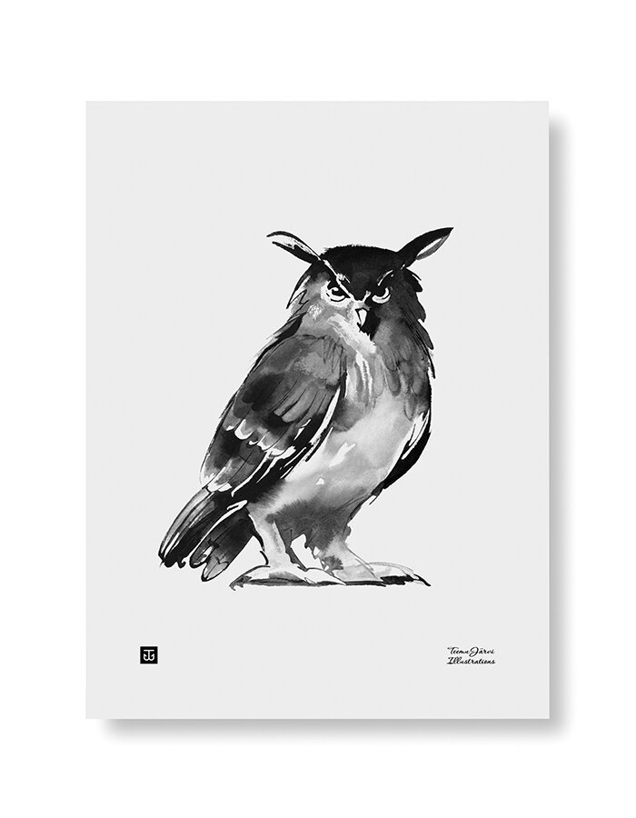 Wall art print Owl