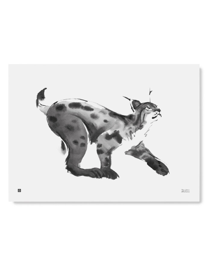 Wall art print Wolf