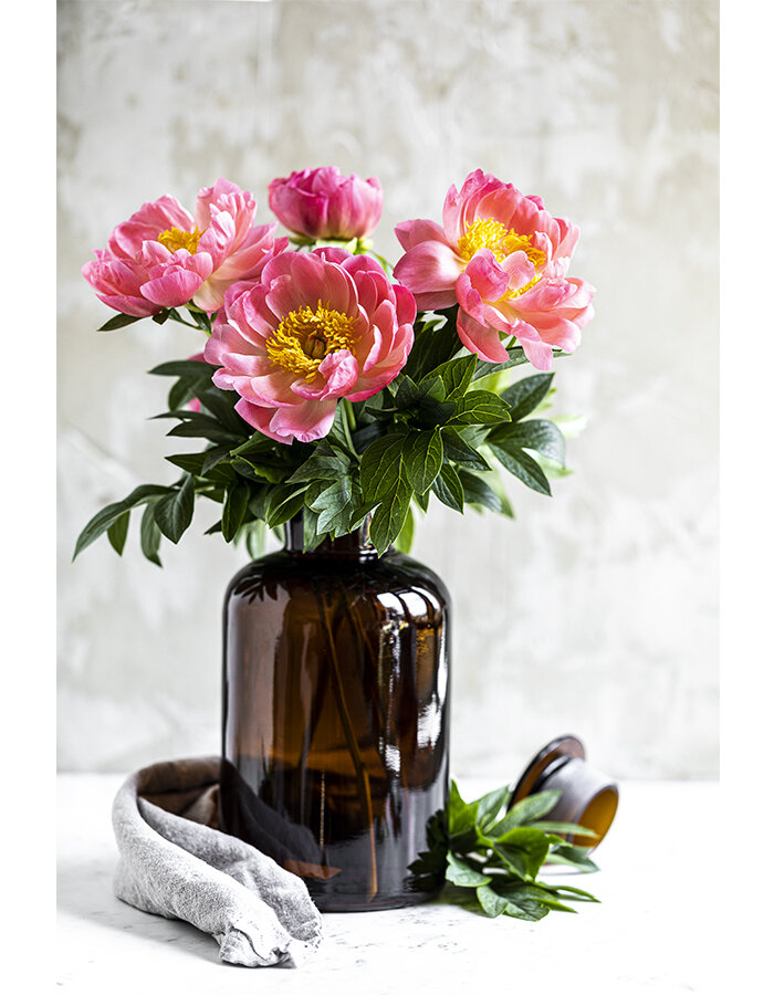 Fotografie "Coral and Amber"