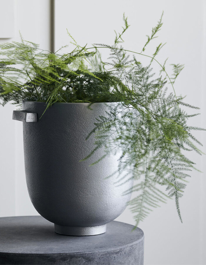 Planter Foem Raw
