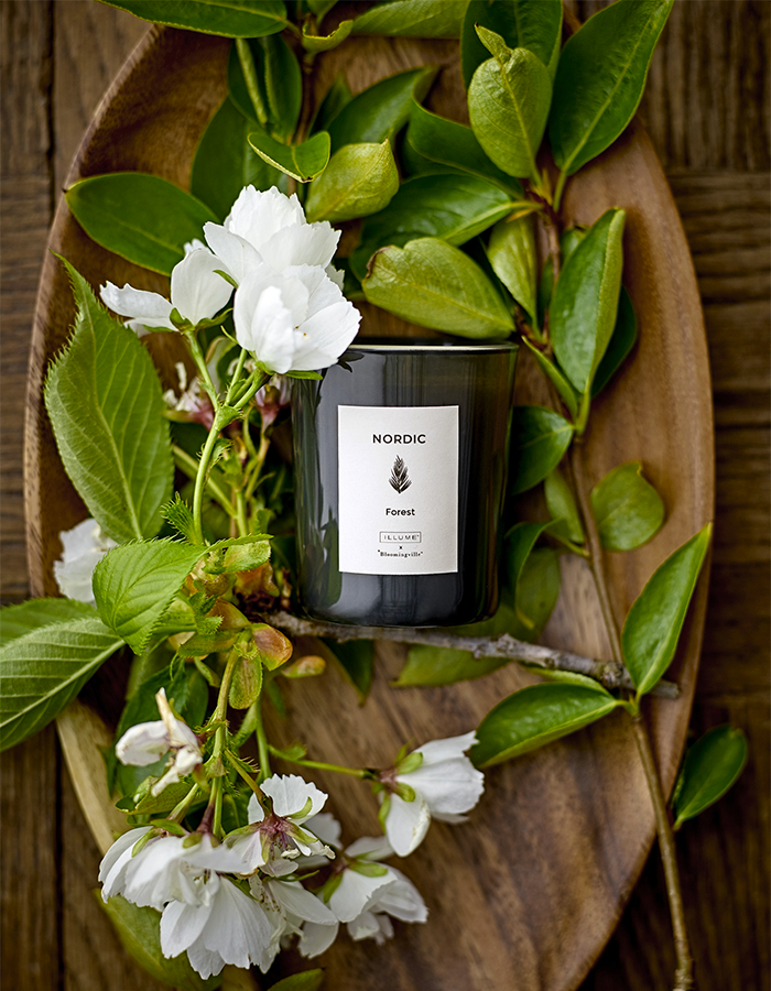 Set of scented candle Seasonal