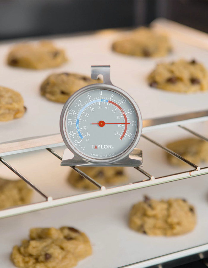 Taylor Pro Freezer and Fridge Temperature Thermometer
