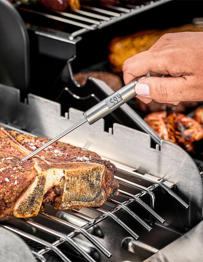 Gourmet thermometer