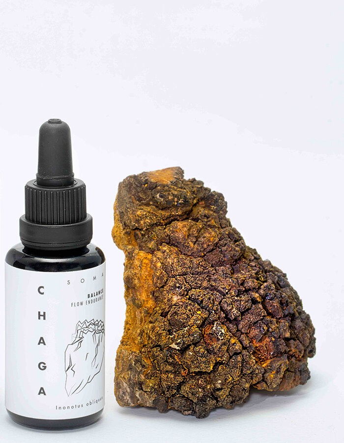 Chaga Soma Bio tincture 30 ml