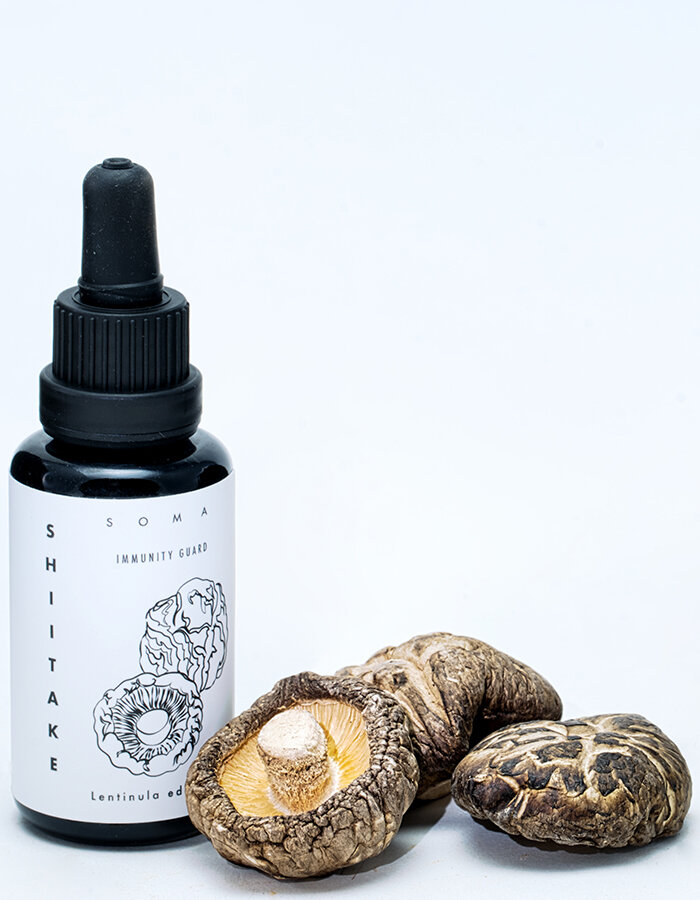 Shiitake Soma Bio tincture 30 ml