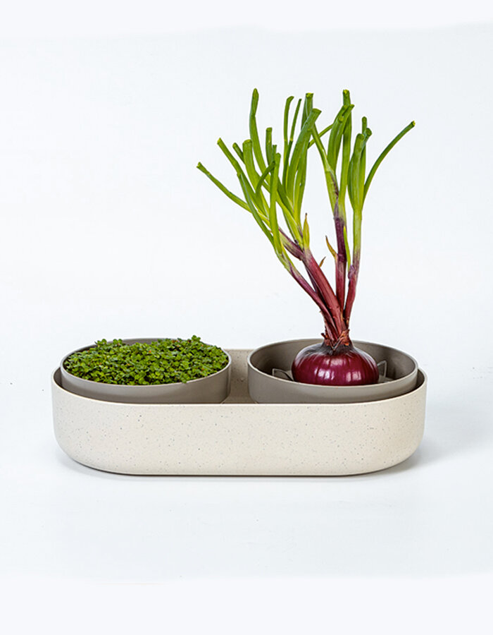 Big Farm Microgreens + Regrow ivory with coffee grounds