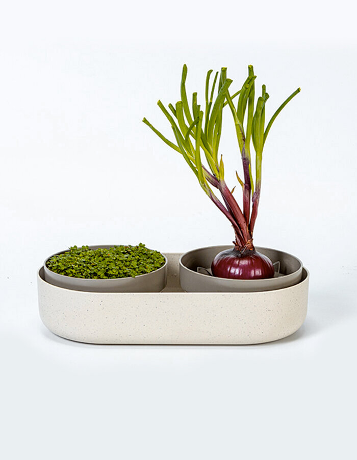 Klíčící miska Velká farma Microgreens + Regrow slonová kost