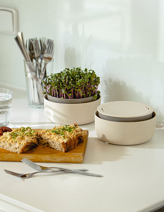 Klíčící miska Microgreens slonová kost