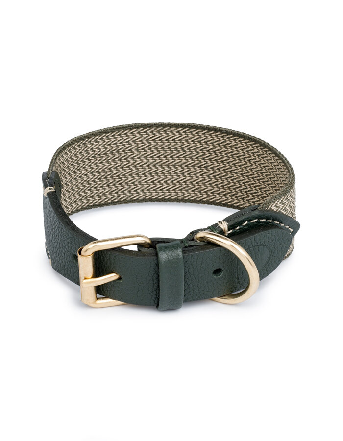 Buddys James green collar
