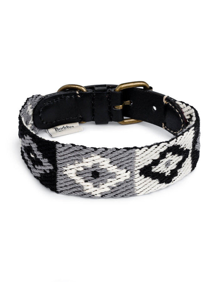 Buddys Peruvian Indian black collar